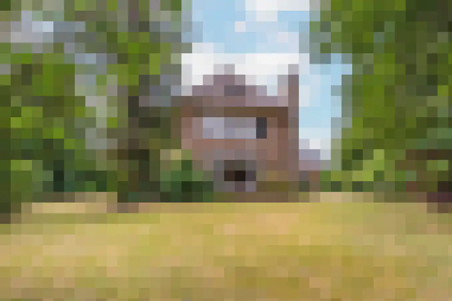 Javalaan 6 Baarn thumbnail 57