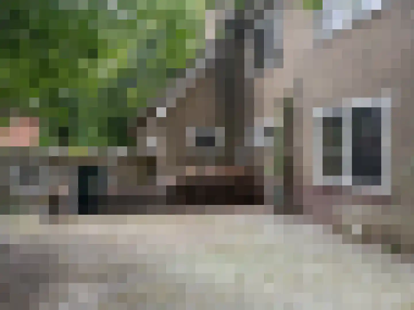 Javalaan 6 Baarn thumbnail 59