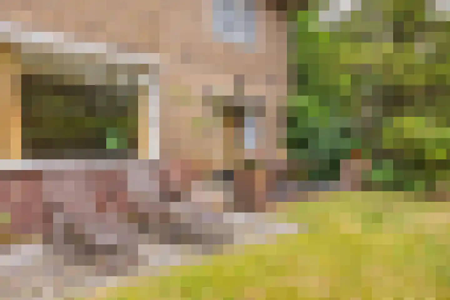 Javalaan 6 Baarn thumbnail 61
