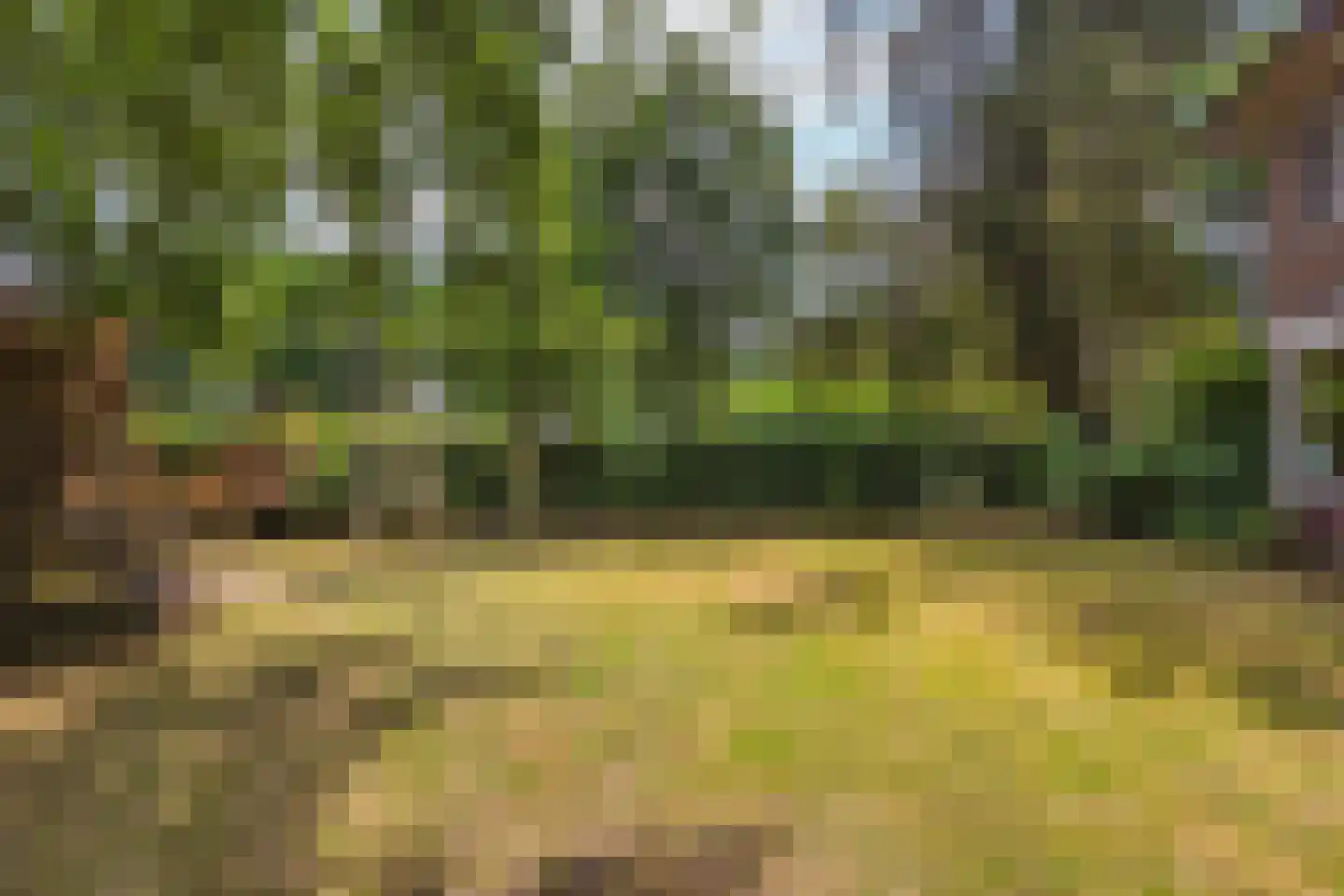 Javalaan 6 Baarn thumbnail 62