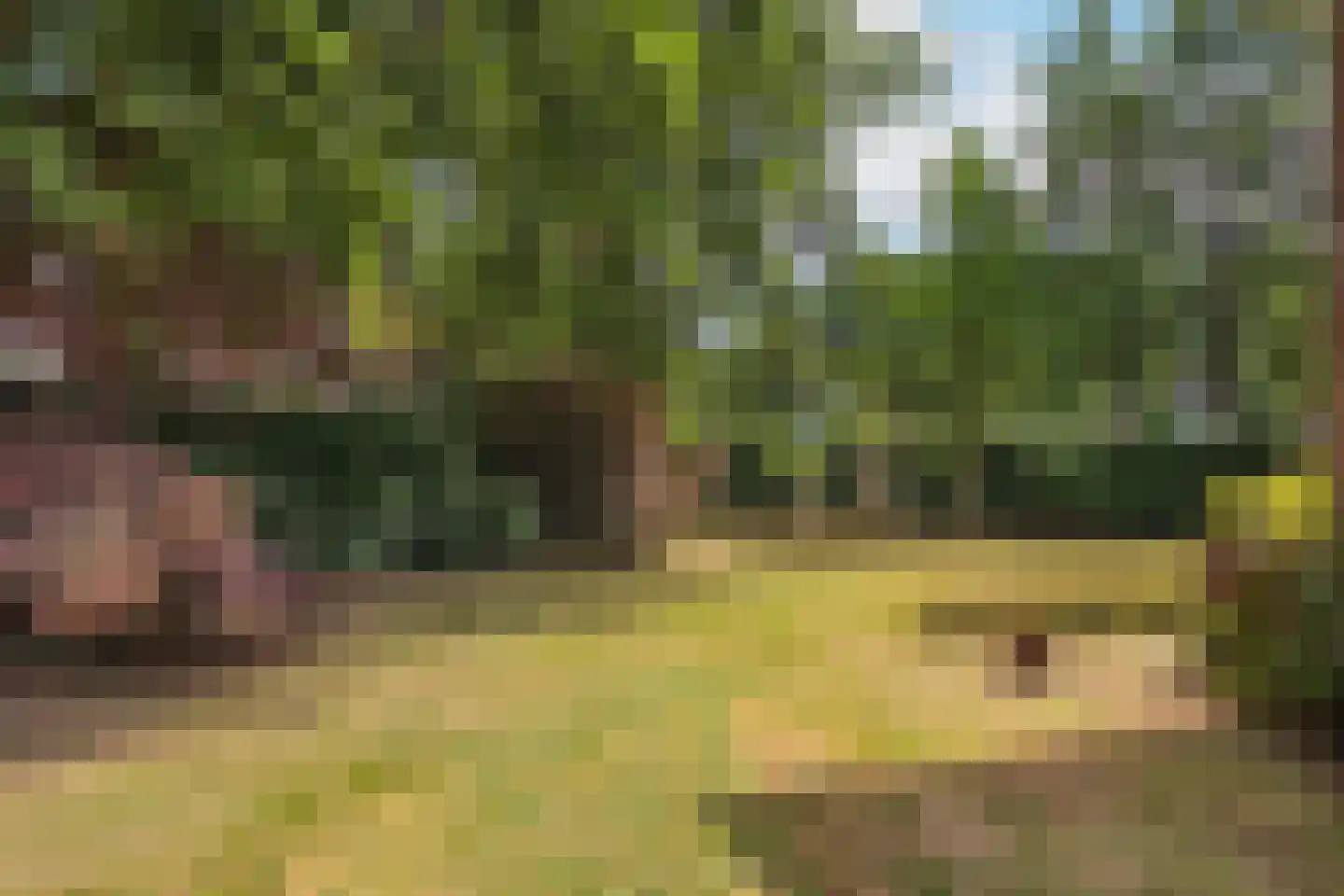 Javalaan 6 Baarn thumbnail 63