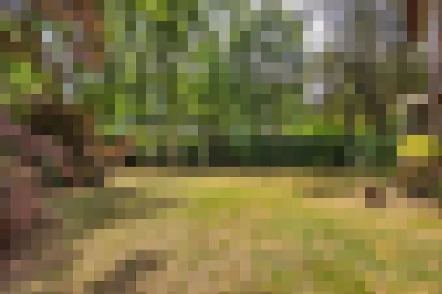 Javalaan 6 Baarn thumbnail 64