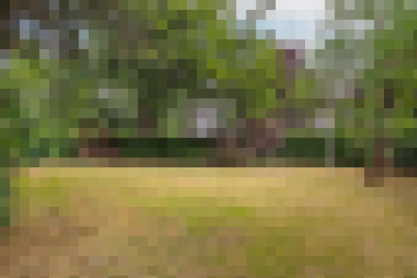 Javalaan 6 Baarn thumbnail 65