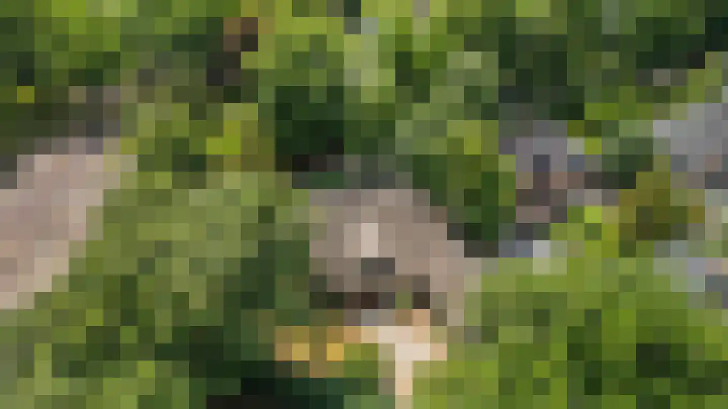Javalaan 6 Baarn thumbnail 69