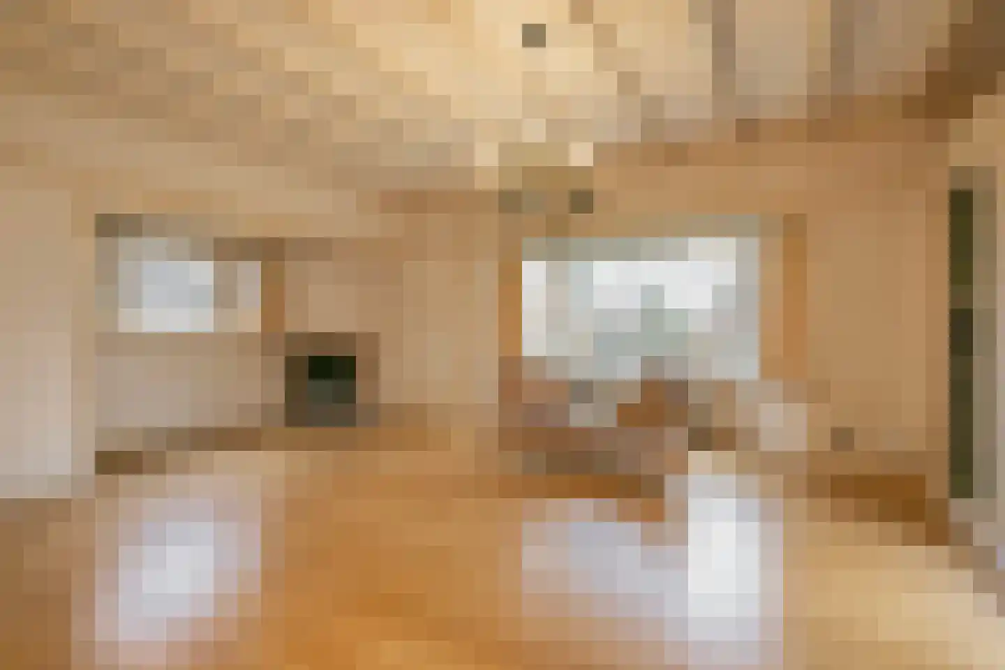 Javalaan 6 Baarn thumbnail 8