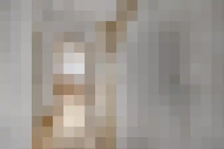 Javalaan 66 Ede thumbnail 10