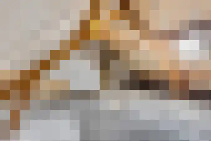 Javalaan 66 Ede thumbnail 25