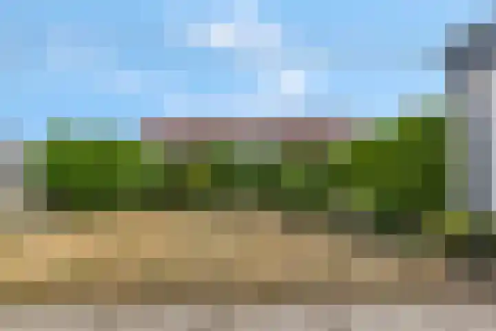 Javalaan 66 Ede thumbnail 33
