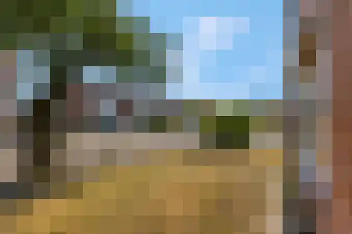 Javalaan 66 Ede thumbnail 34