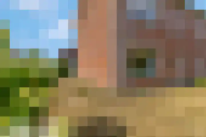 Javalaan 66 Ede thumbnail 35