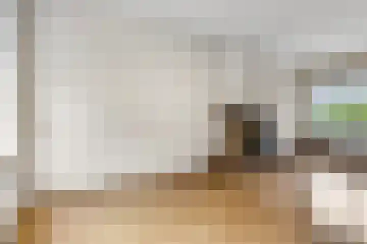 Javalaan 66 Ede thumbnail 4