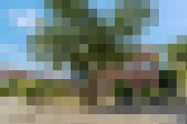 Javalaan 66 Ede thumbnail 41