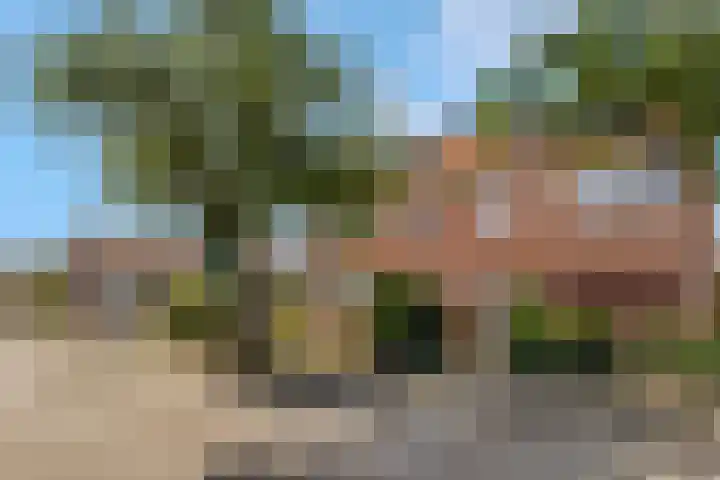 Javalaan 66 Ede thumbnail 42