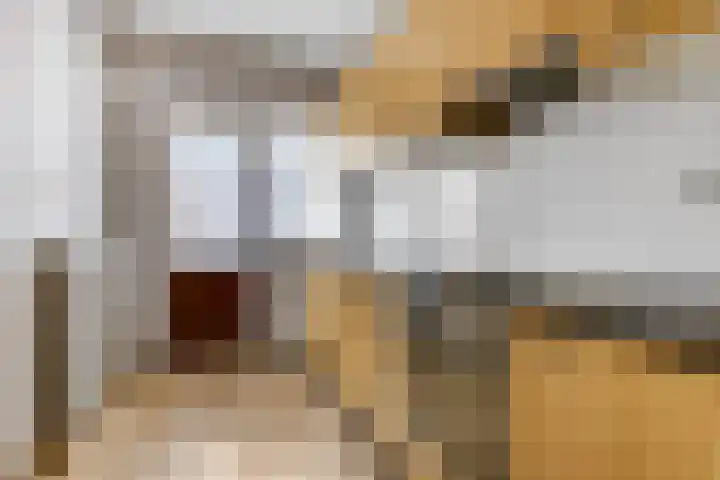 Javalaan 66 Ede thumbnail 7