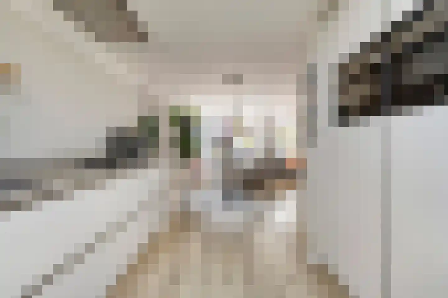 Javalaan 7 Zoetermeer thumbnail 14