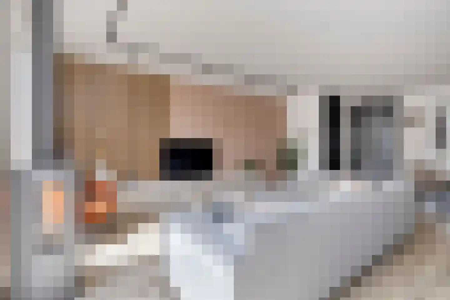 Javalaan 7 Zoetermeer thumbnail 8