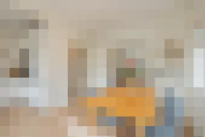 Javalaan 9 Heemstede thumbnail 10