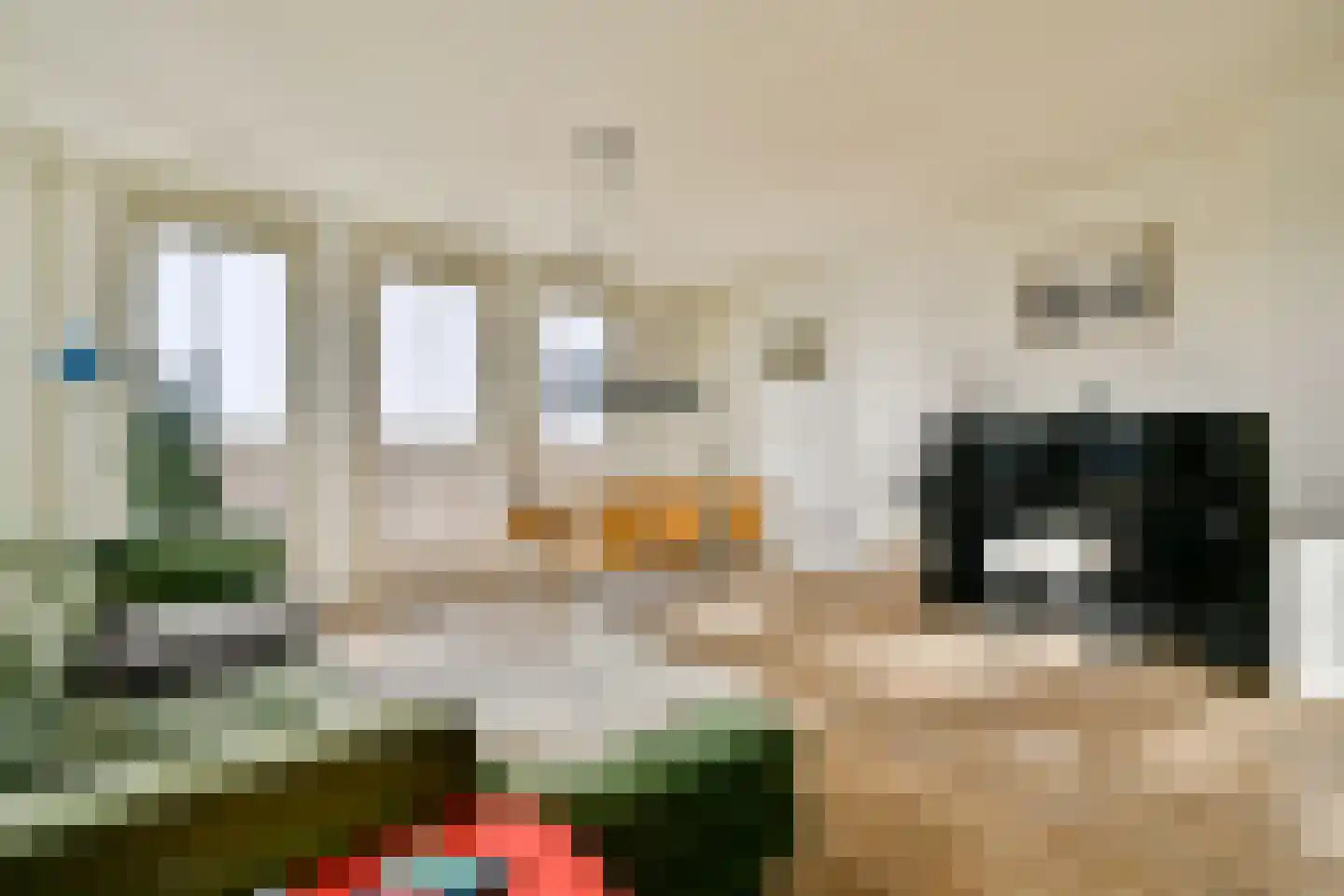 Javaplein 10 F Amsterdam thumbnail 4