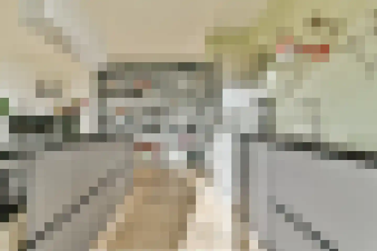 Javaplein 10 F Amsterdam thumbnail 9