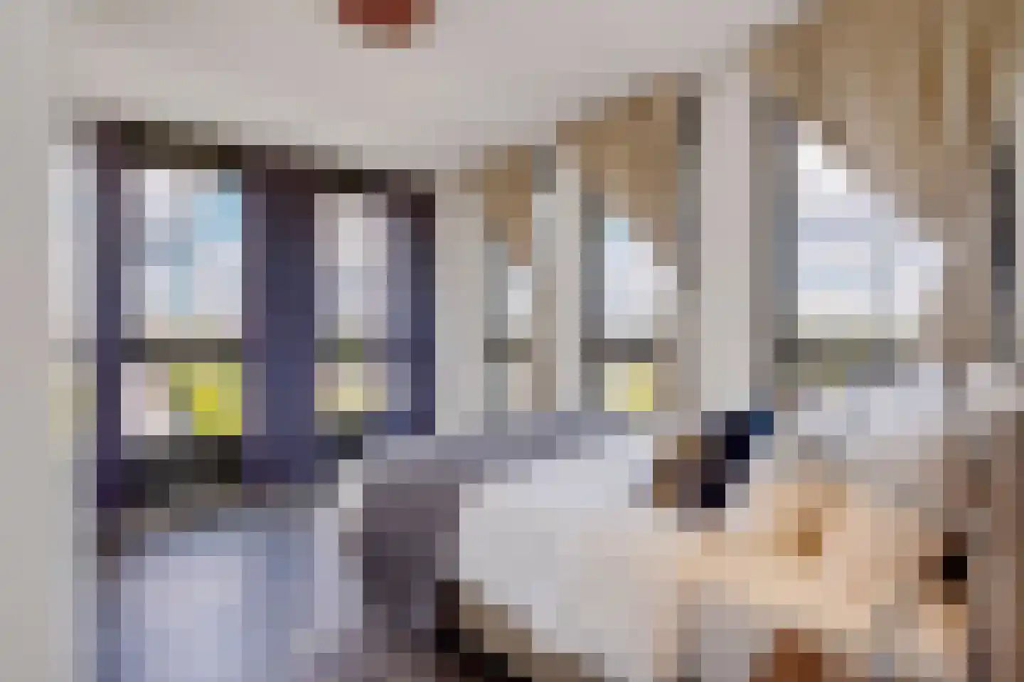 Javaplein 12 F Amsterdam thumbnail 25