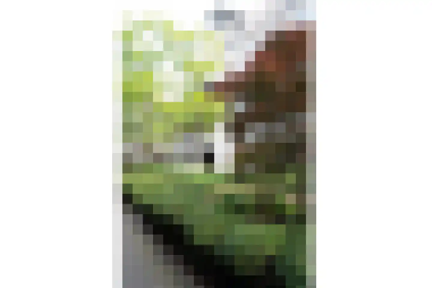 Javaplein 12 F Amsterdam thumbnail 42