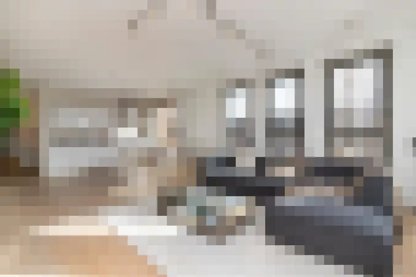 Javaplein 8 F Amsterdam thumbnail 5