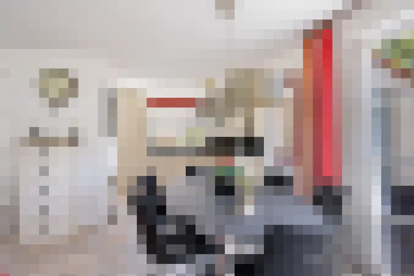 Javaruggen 13 Makkum thumbnail 14