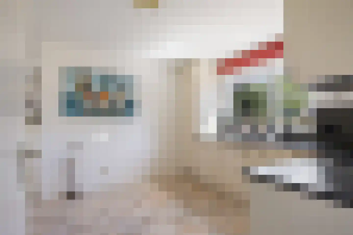 Javaruggen 13 Makkum thumbnail 19