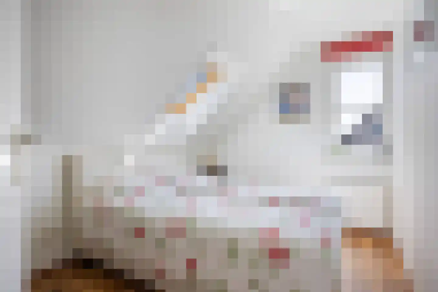 Javaruggen 13 Makkum thumbnail 27