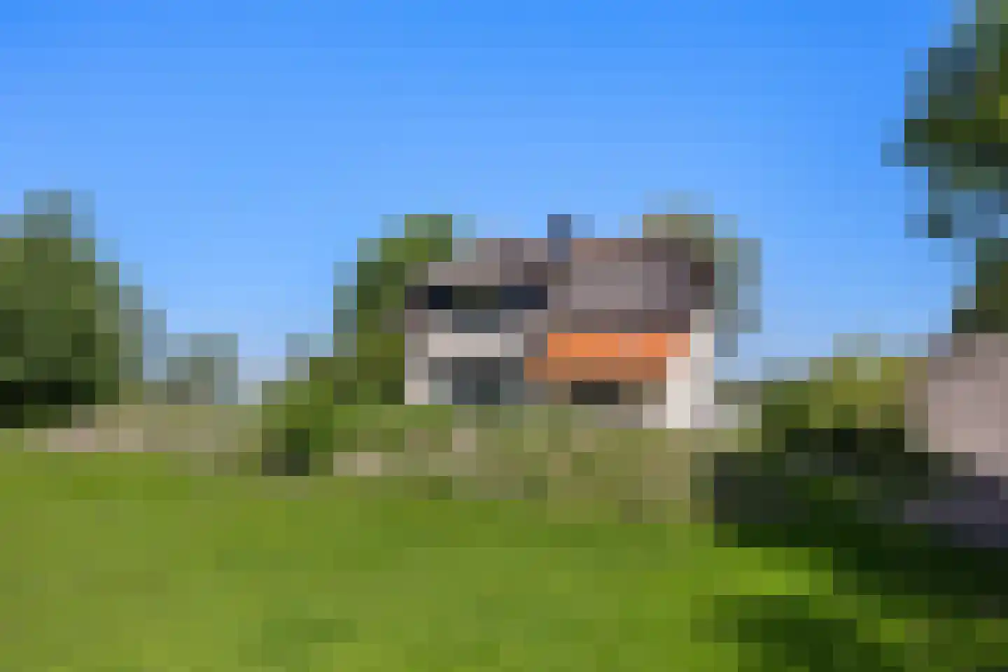 Javaruggen 13 Makkum thumbnail 31