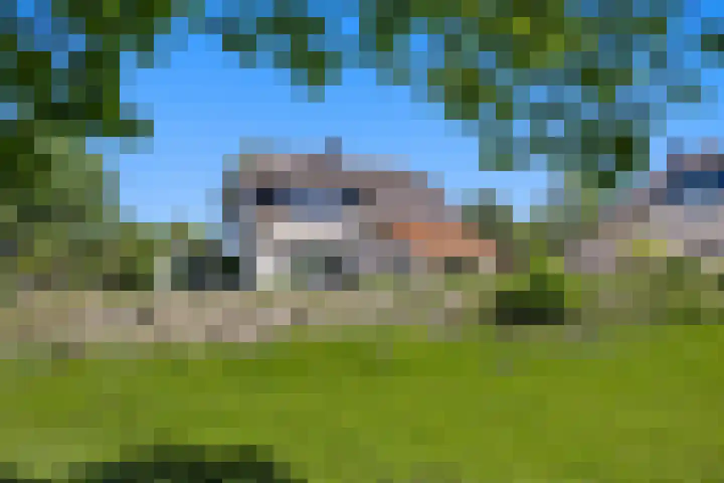 Javaruggen 13 Makkum thumbnail 32