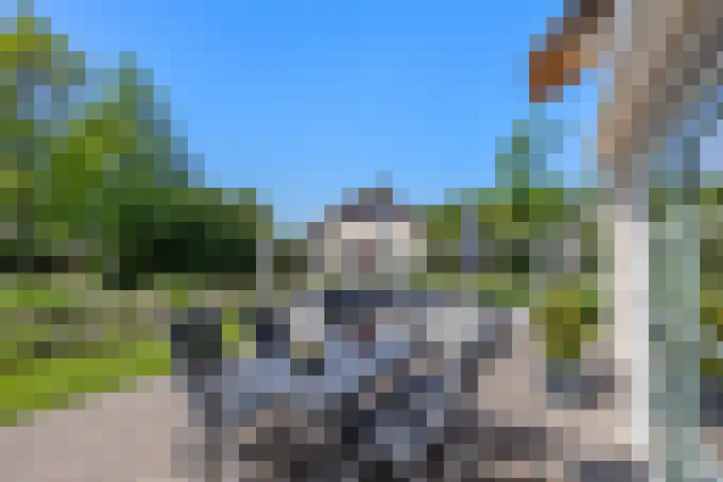 Javaruggen 13 Makkum thumbnail 35