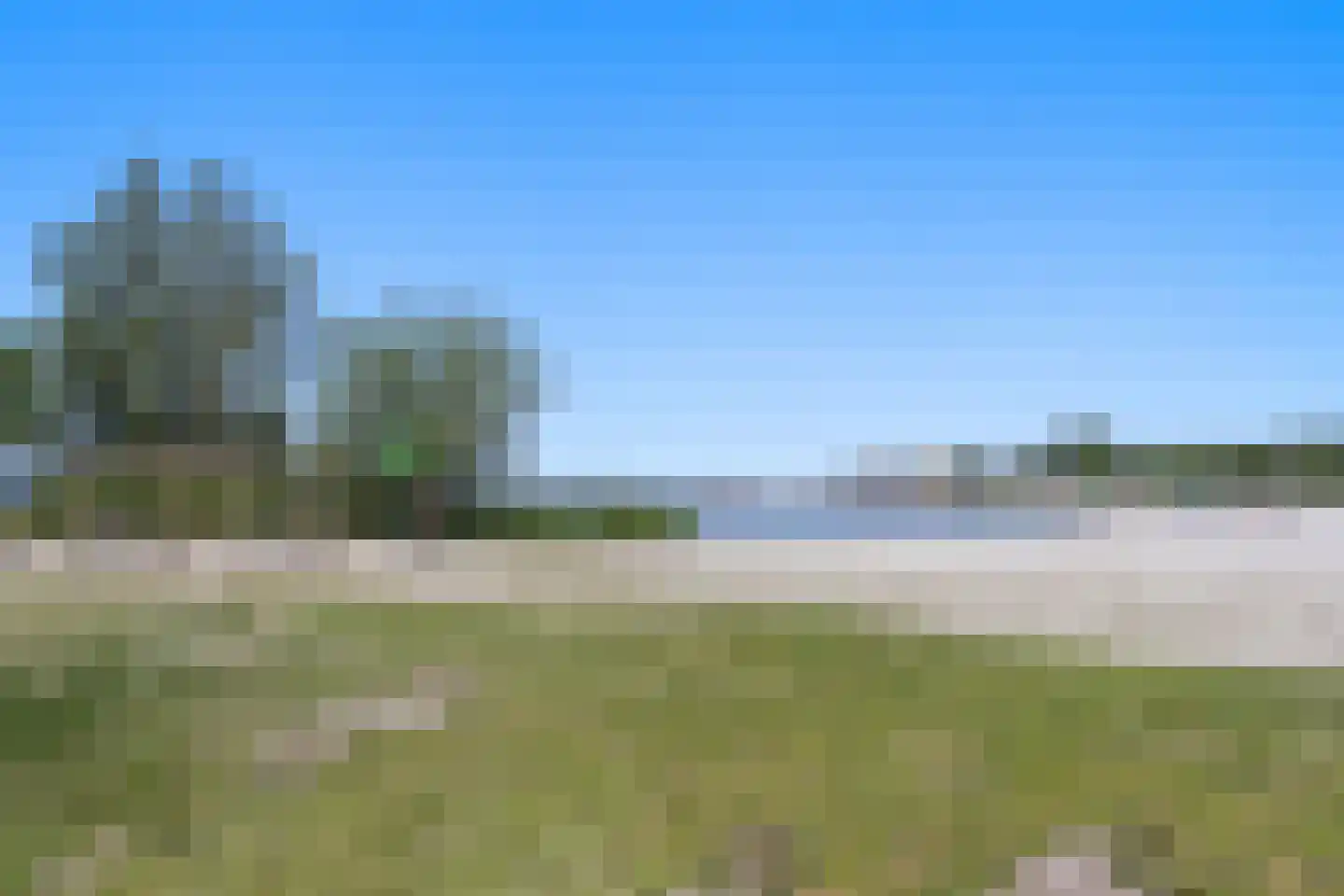 Javaruggen 13 Makkum thumbnail 4