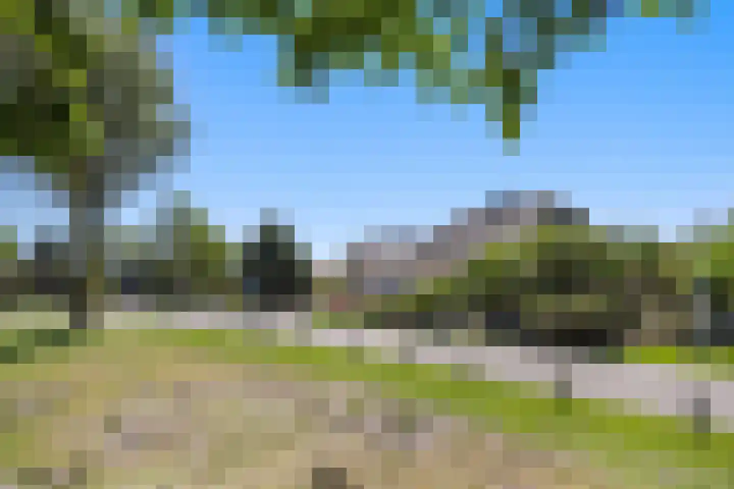 Javaruggen 13 Makkum thumbnail 48