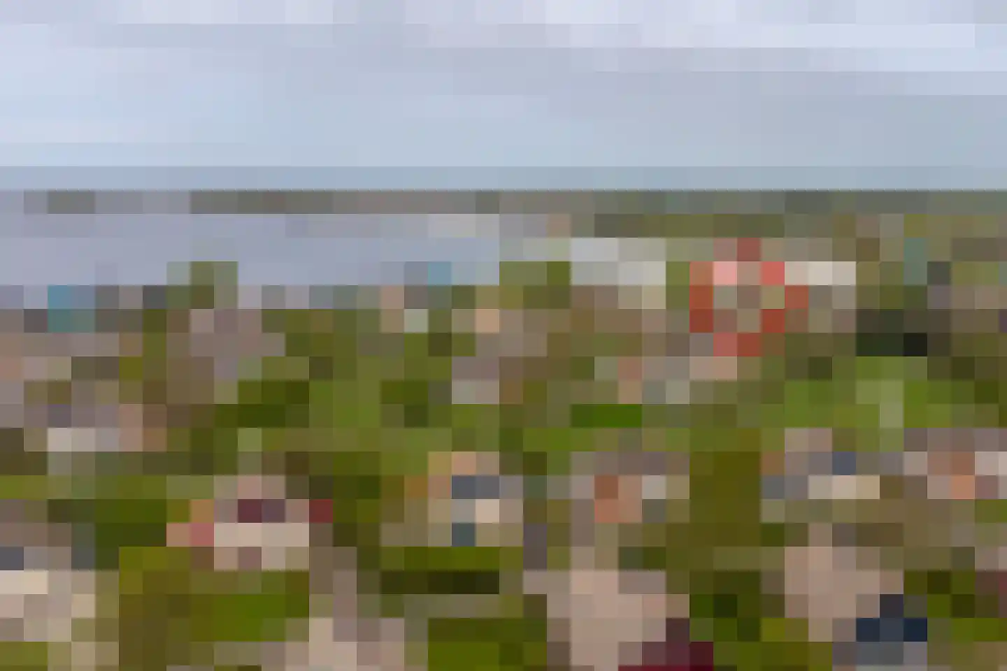 Javaruggen 13 Makkum thumbnail 54