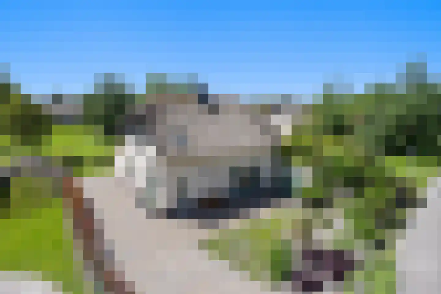 Javaruggen 13 Makkum thumbnail 6