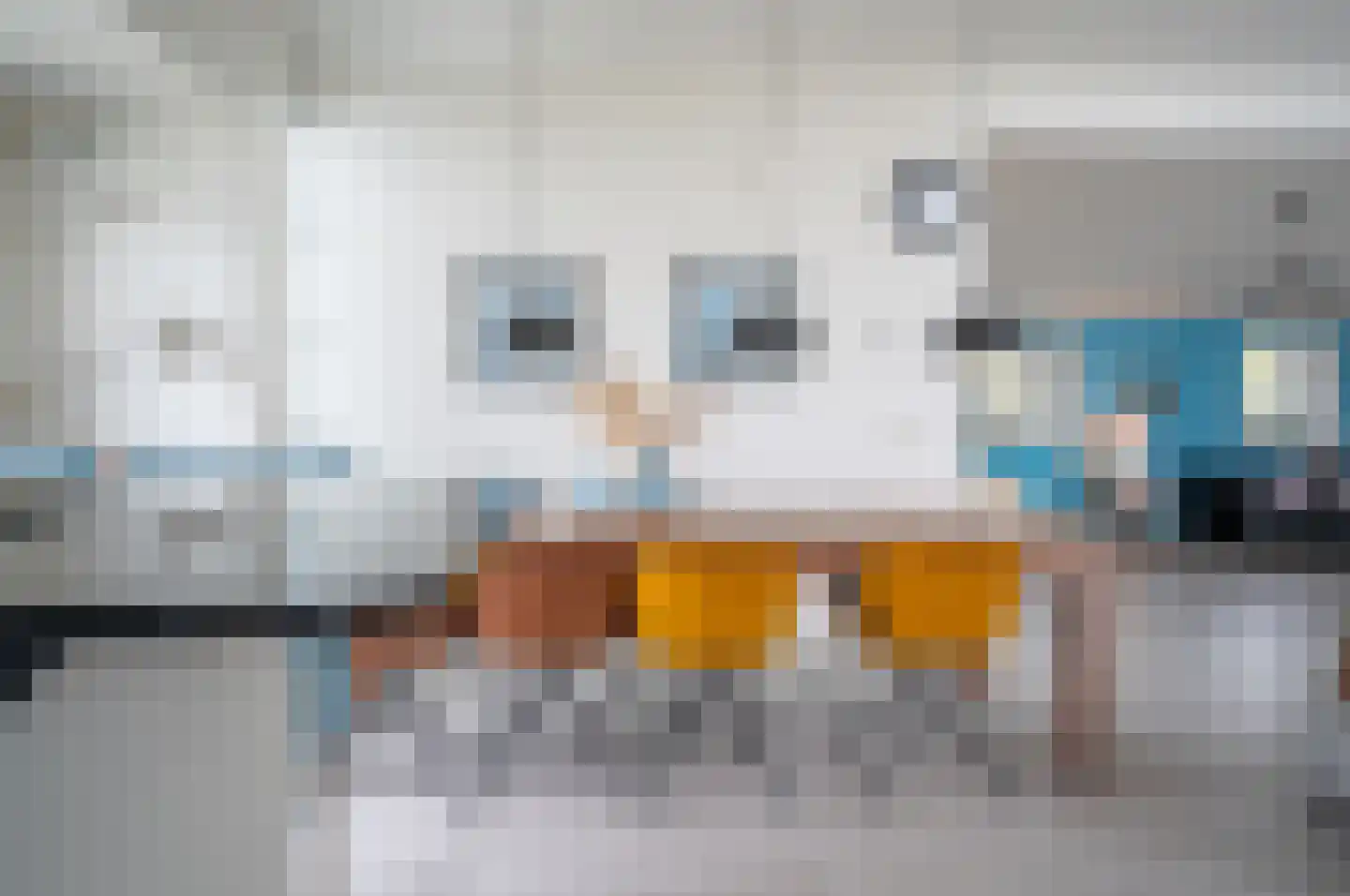 Javaruggen 14 Makkum thumbnail 15
