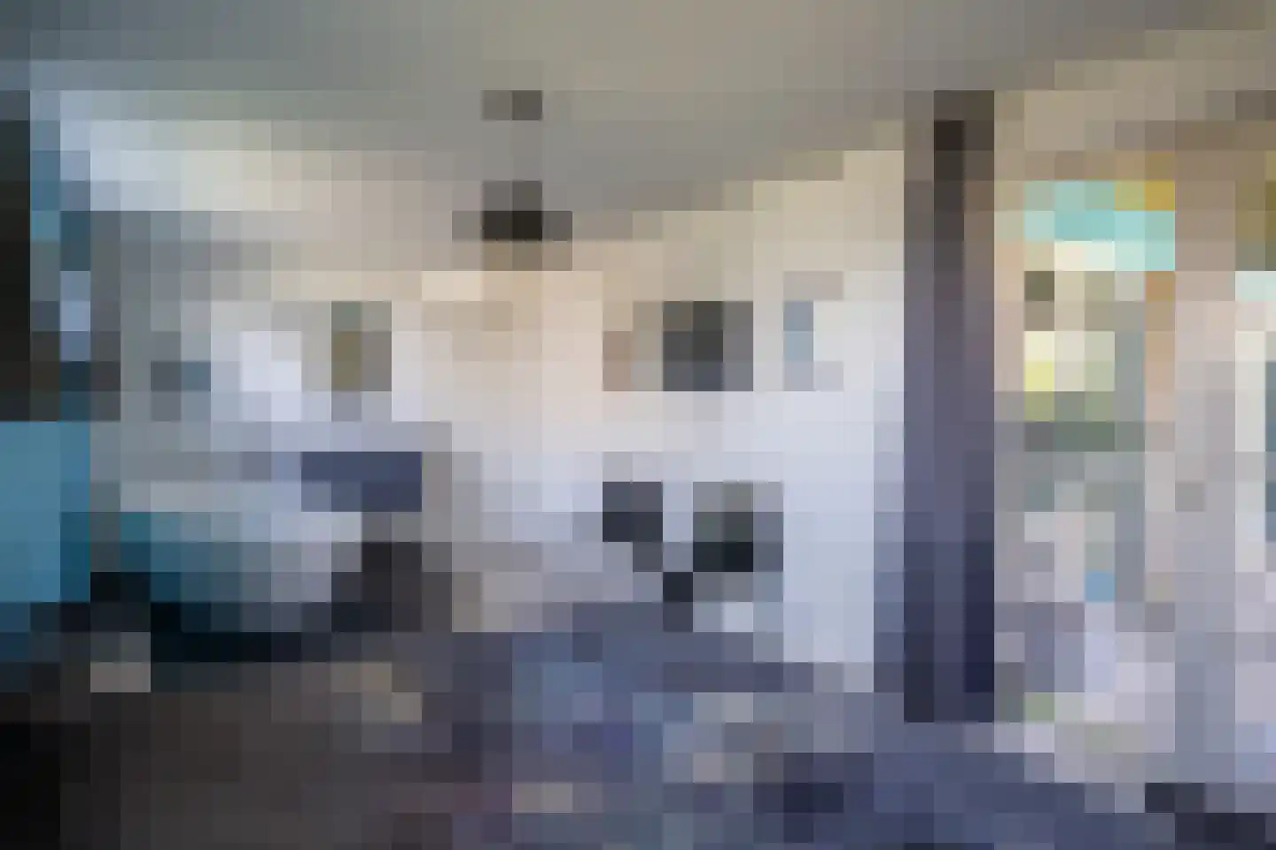 Javaruggen 14 Makkum thumbnail 19