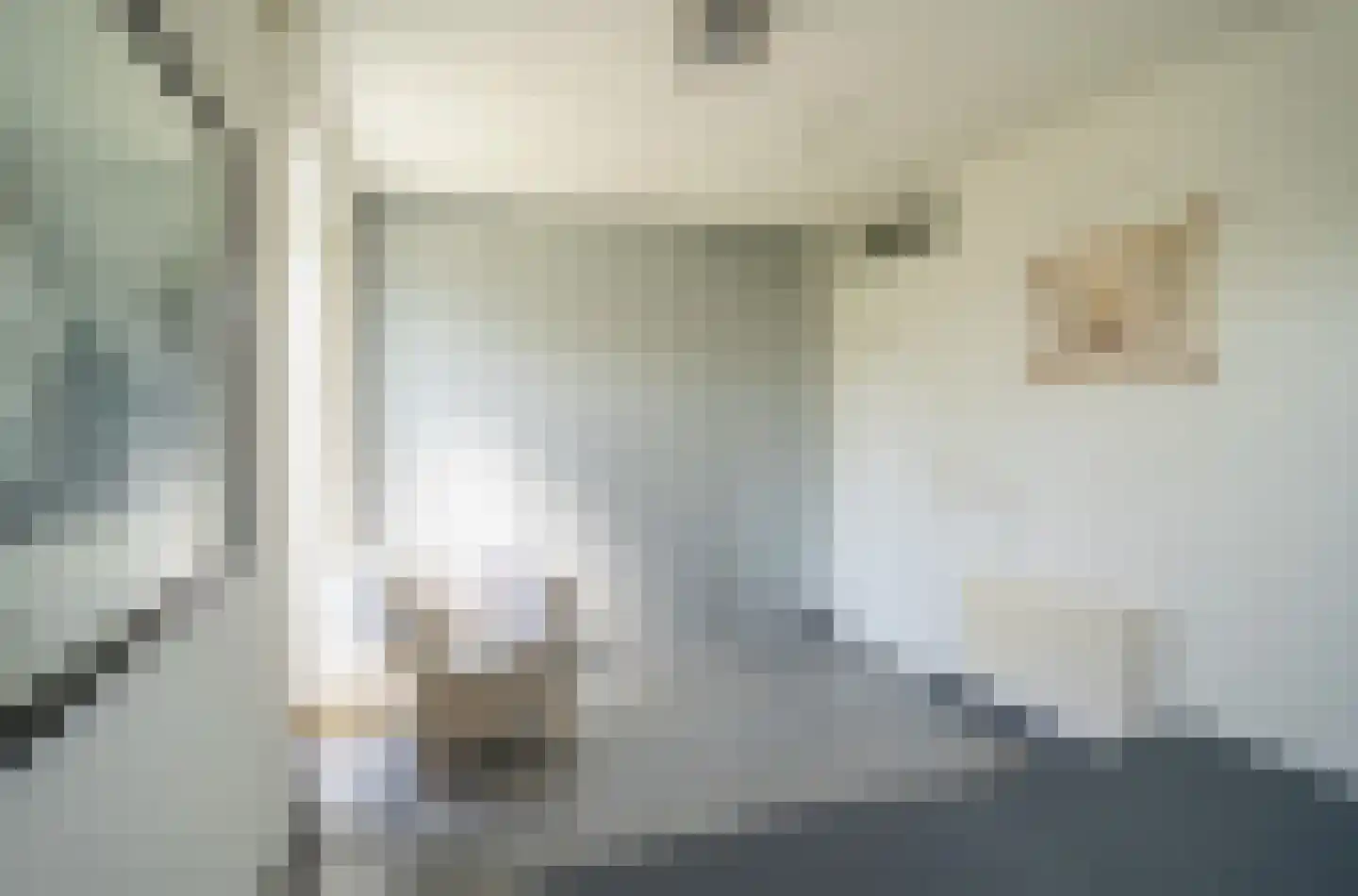 Javaruggen 14 Makkum thumbnail 28