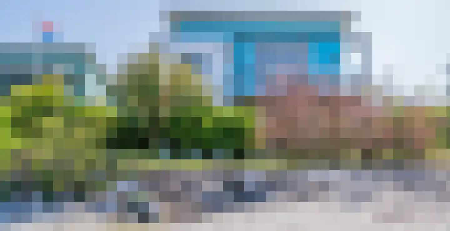 Javaruggen 14 Makkum thumbnail 5