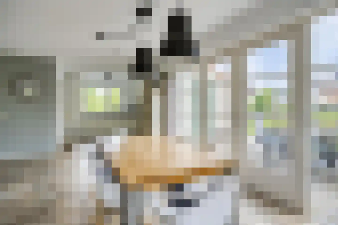 Javaruggen 19 Makkum thumbnail 11