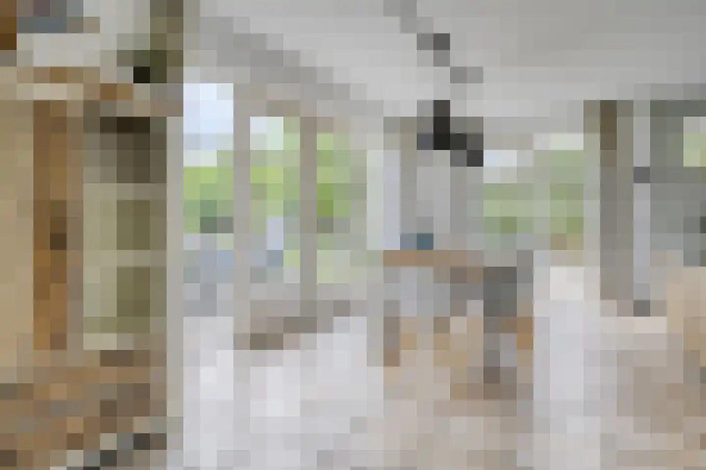Javaruggen 19 Makkum thumbnail 12