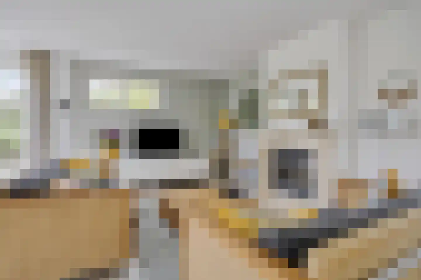 Javaruggen 19 Makkum thumbnail 8
