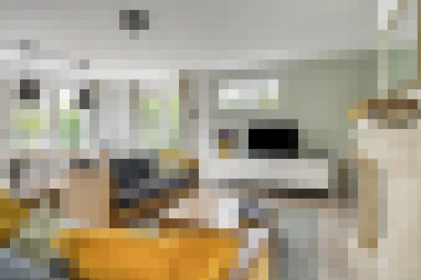 Javaruggen 19 Makkum thumbnail 9