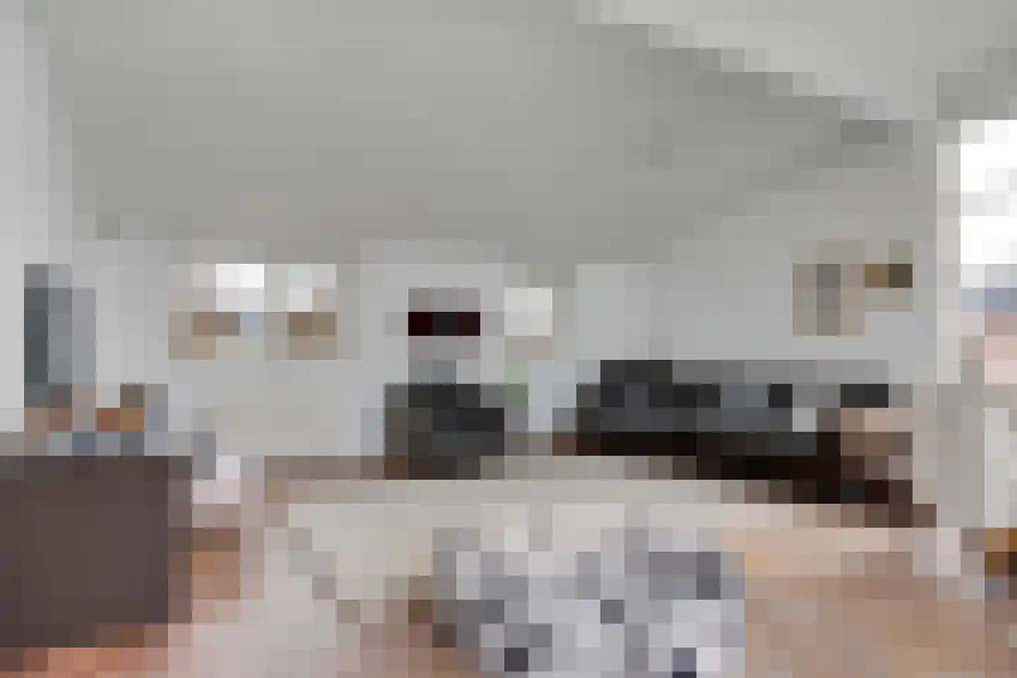 Javaruggen 20 Makkum thumbnail 18