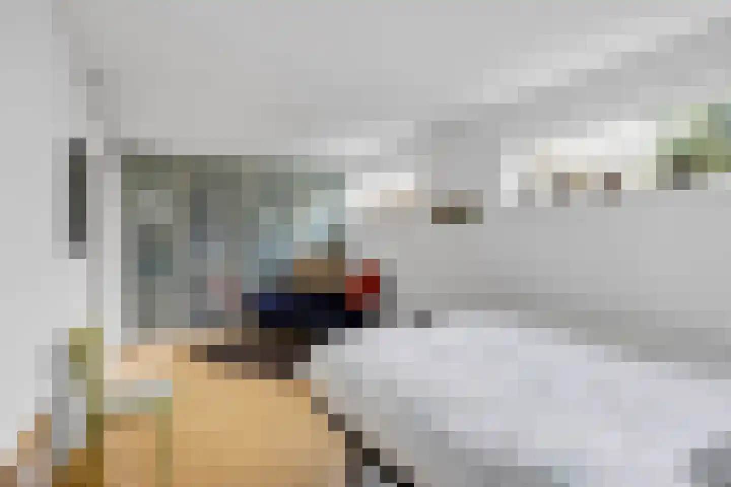 Javaruggen 20 Makkum thumbnail 28