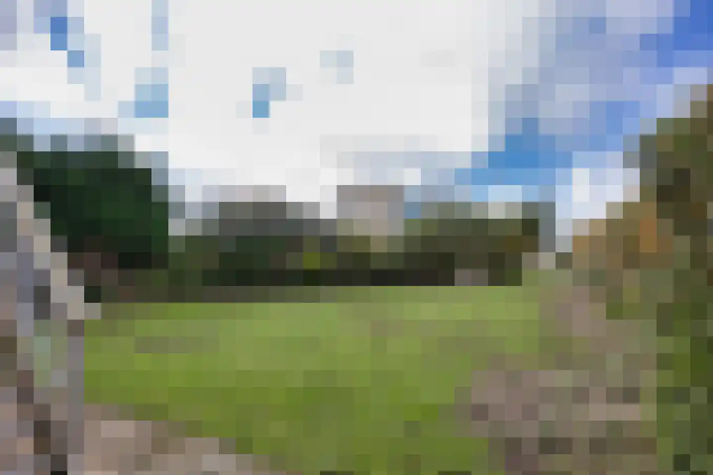 Javaruggen 20 Makkum thumbnail 39