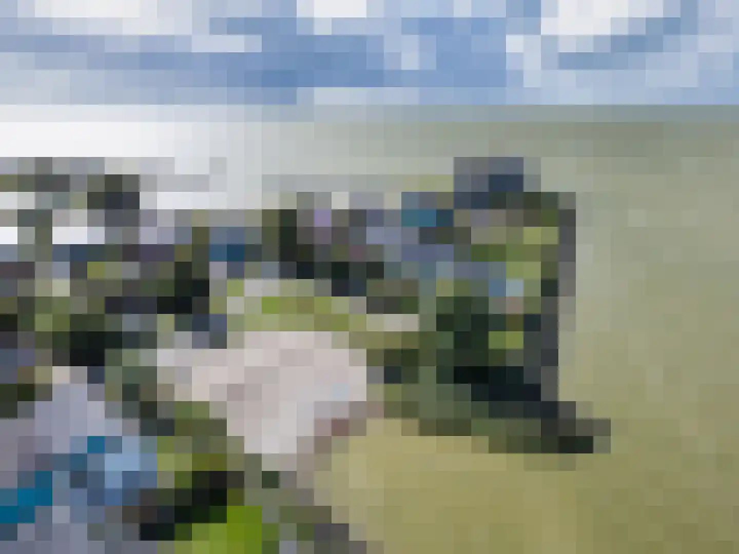 Javaruggen 20 Makkum thumbnail 4