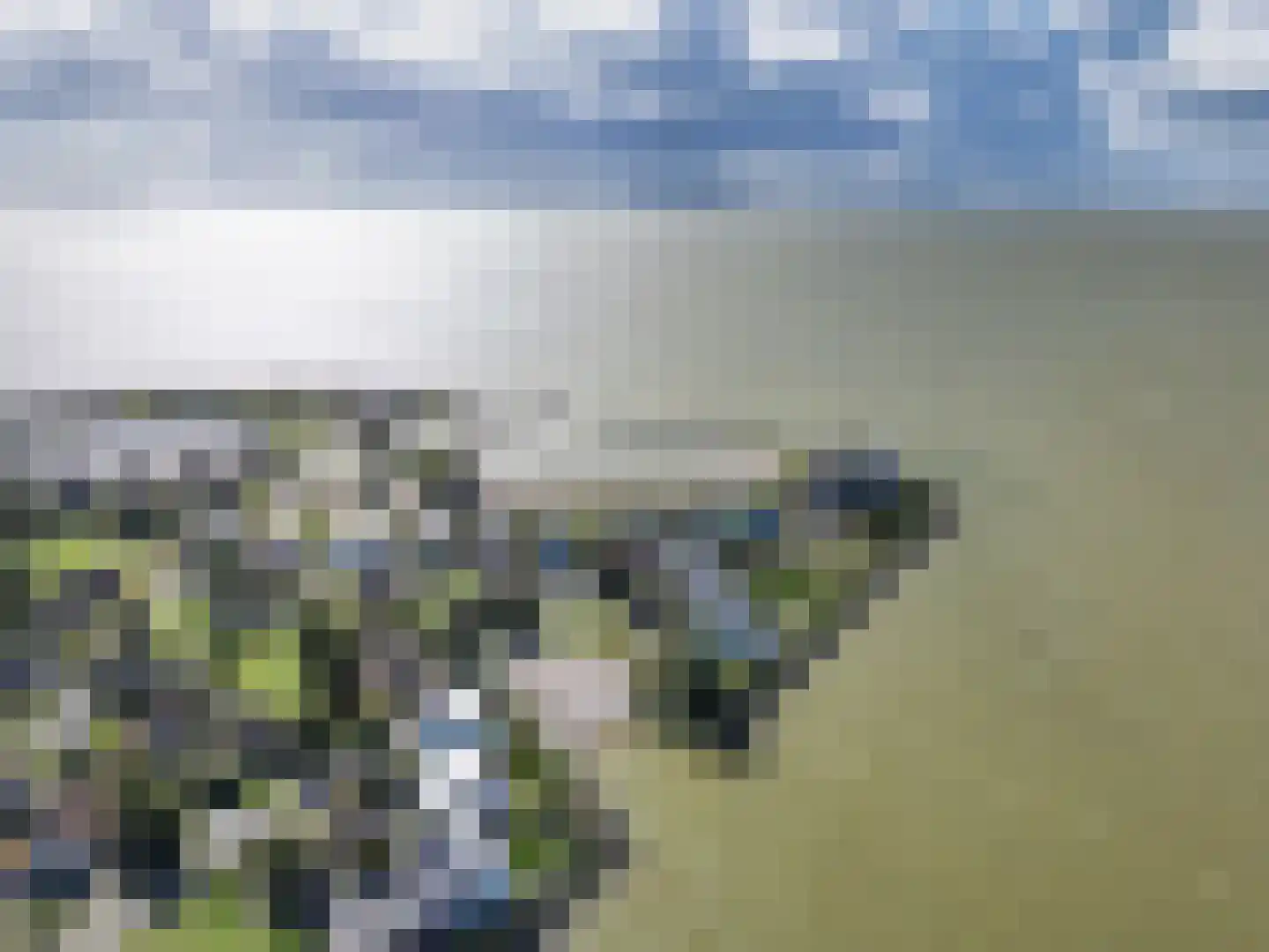 Javaruggen 20 Makkum thumbnail 49