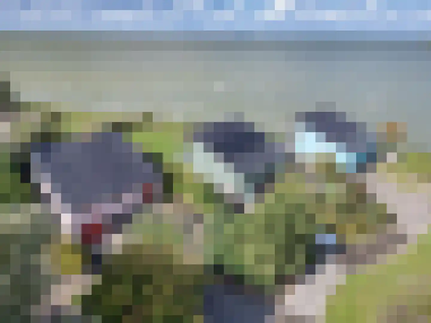 Javaruggen 20 Makkum thumbnail 5